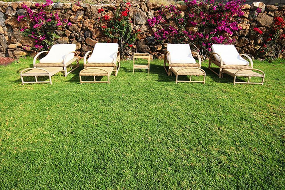 Villa Albe, Jacuzzi Con Vistas Al Mar Arona (Tenerife) Exterior photo